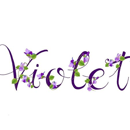 Appartamento Violet - Парма Екстериор снимка
